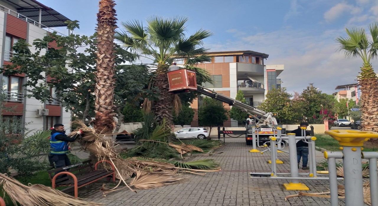 Nazilli Belediyesinden 12 mahallede eş zamanlı çalışma