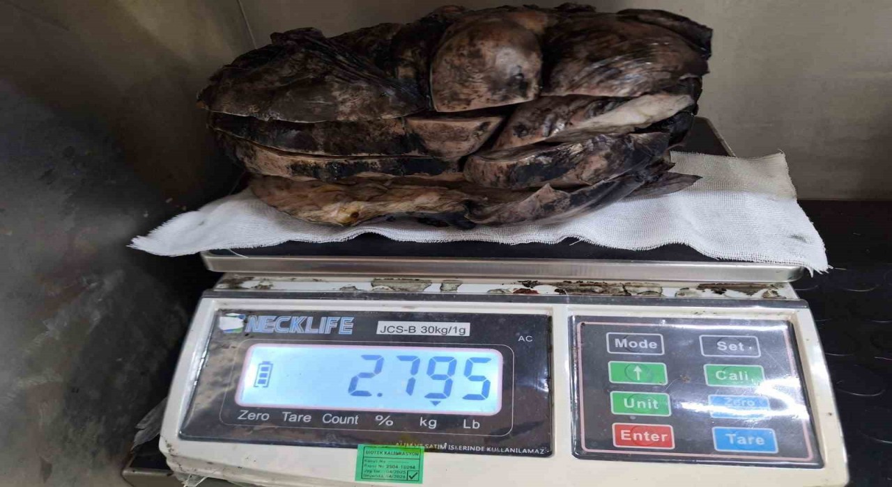 Nefes darlığı şikayeti ile hastaneye gitti, göğsünden 3 kilogramlık tümör çıktı
