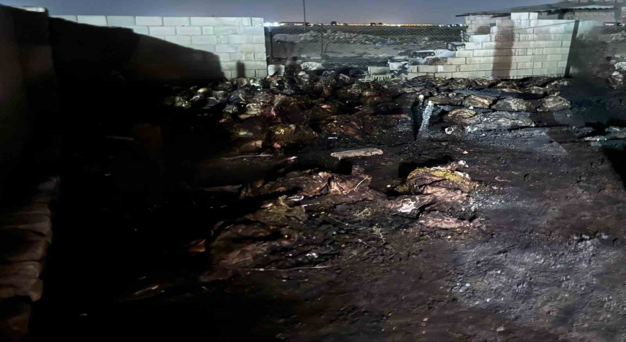 Niğdede ahır yangını: 170 koyun telef oldu