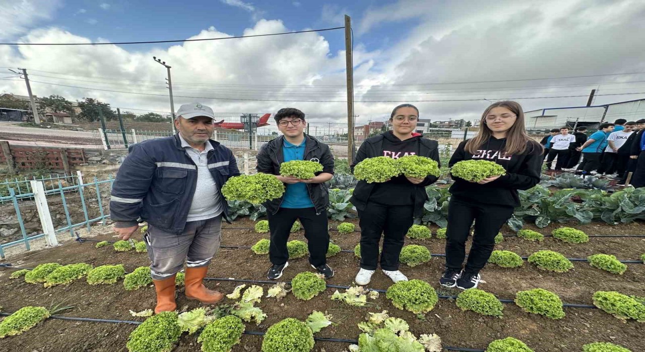 Öğrenciler, Bahçem Çayırovada ilk hasadı yaptı