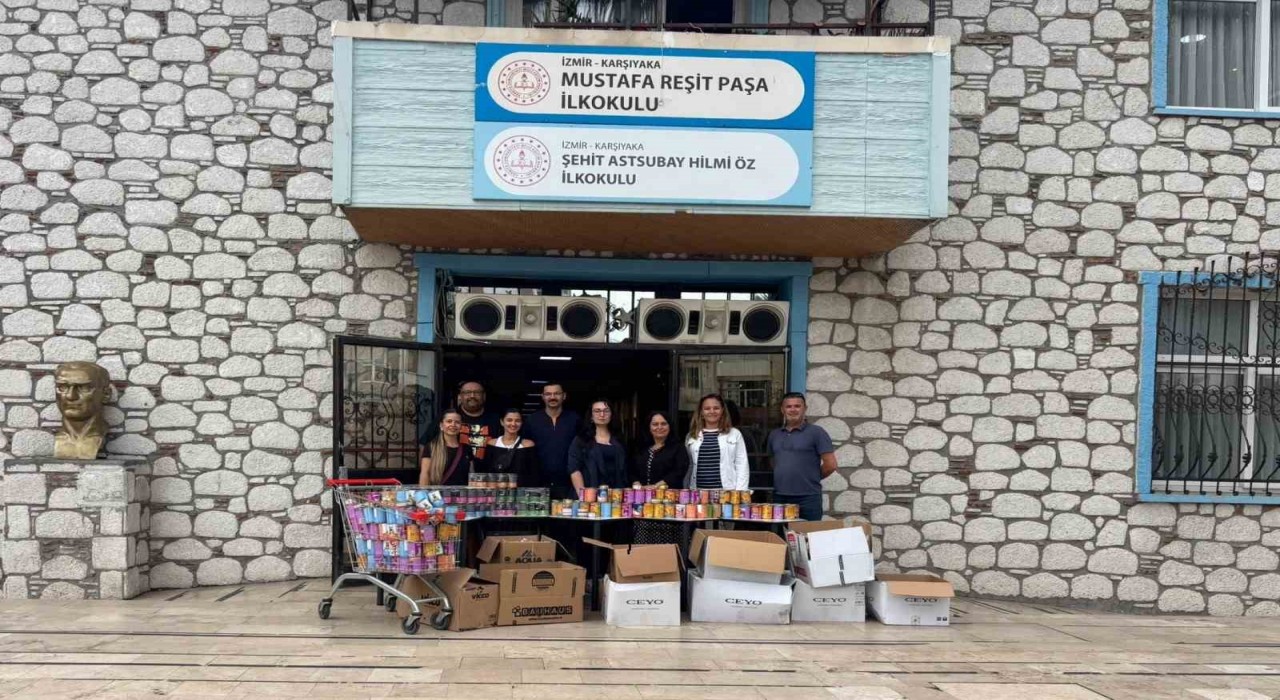 Öğrenciler, tedavi gören kediler için 2 bin kutu mama topladı