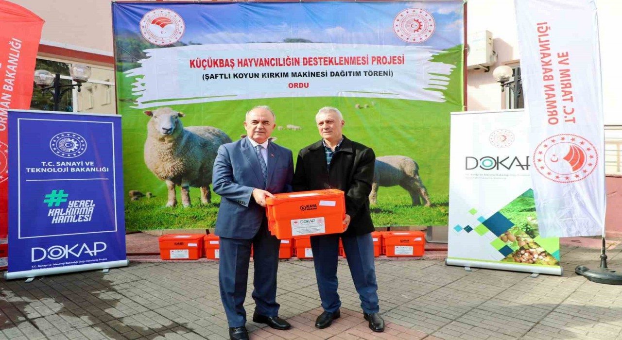 Orduda 150 koyun yetiştiricisine kırkım makine desteği