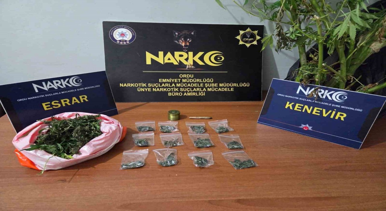 Orduda uyuşturucu operasyonlarında 2 tutuklama
