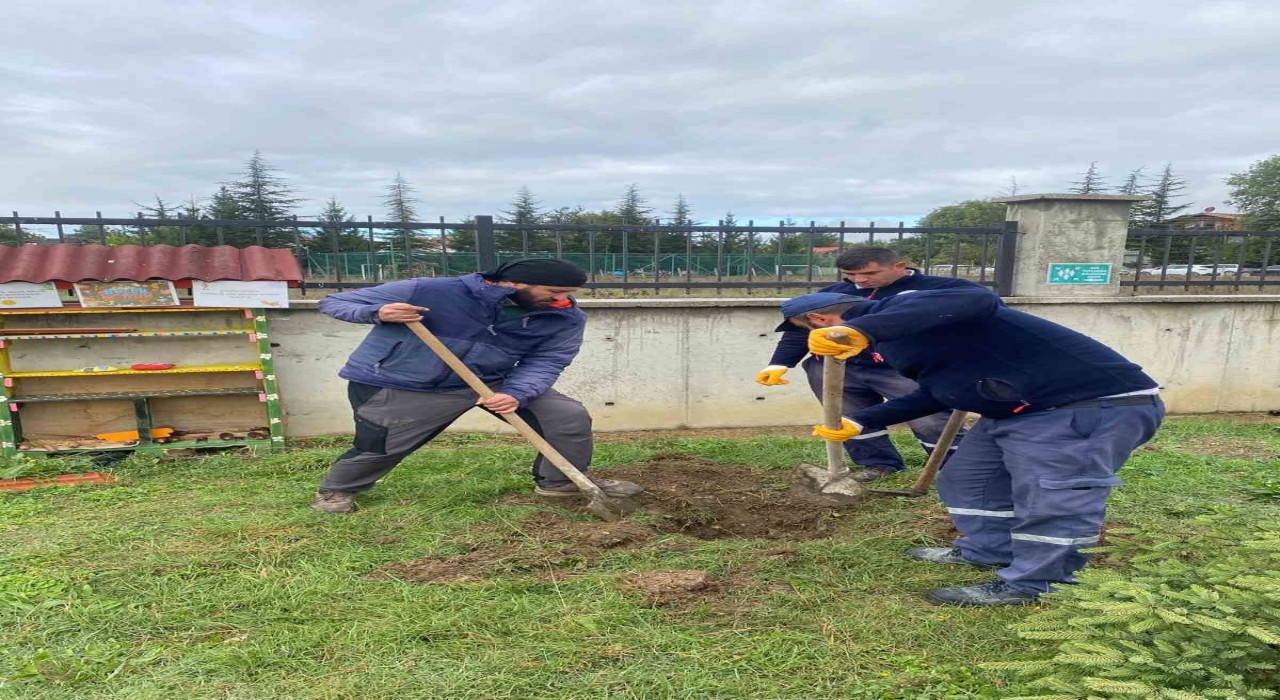 Orman yangınları sonrası yola çıktı, 71. fidanını Boluda dikti