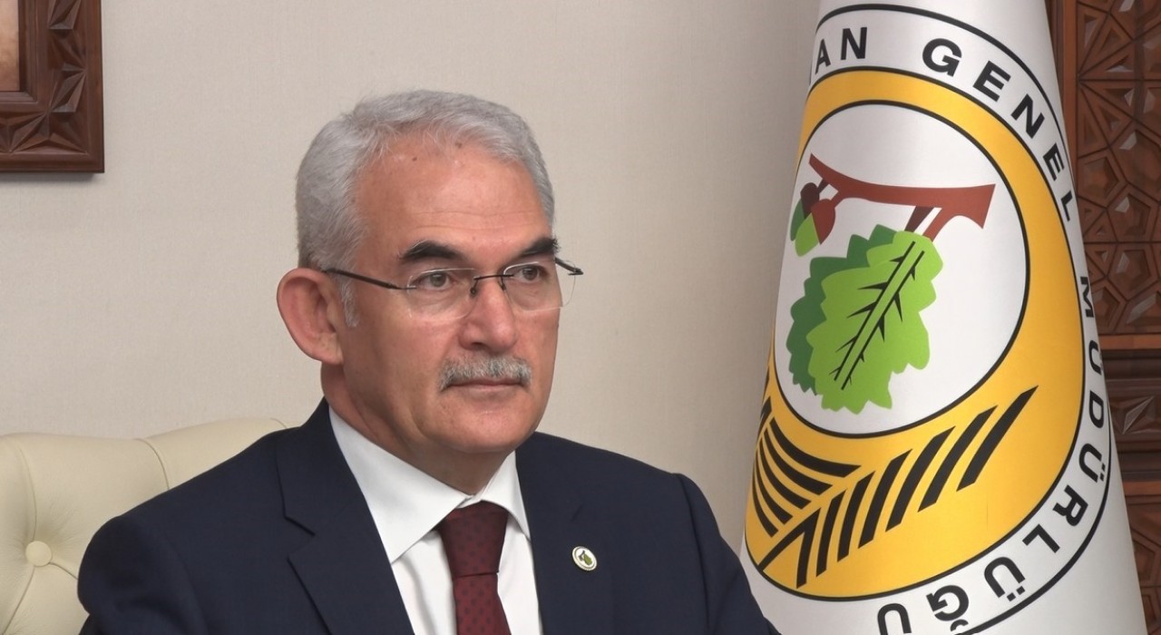 Orman yangınlarıyla mücadelede küresel strateji Türkiyeden çıkacak