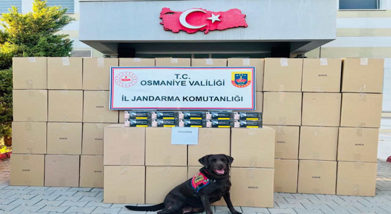 Osmaniye’de 1 Milyon 250 Bin Sahte Makaron Ele Geçirildi