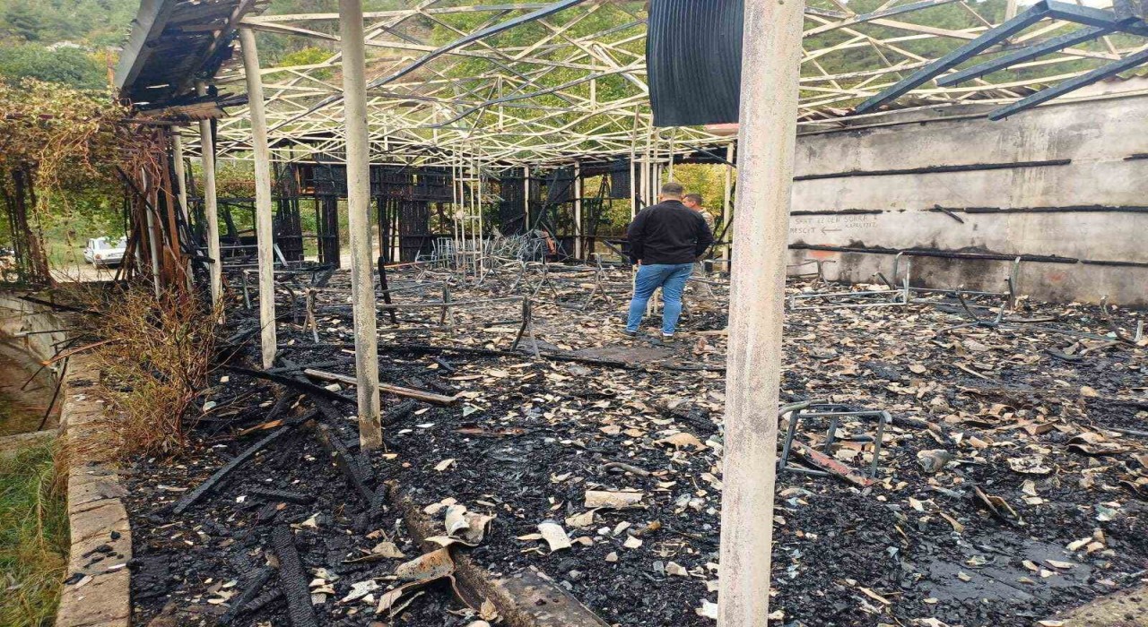 Osmaniyede ahşap alabalık tesisi alevlere teslim oldu