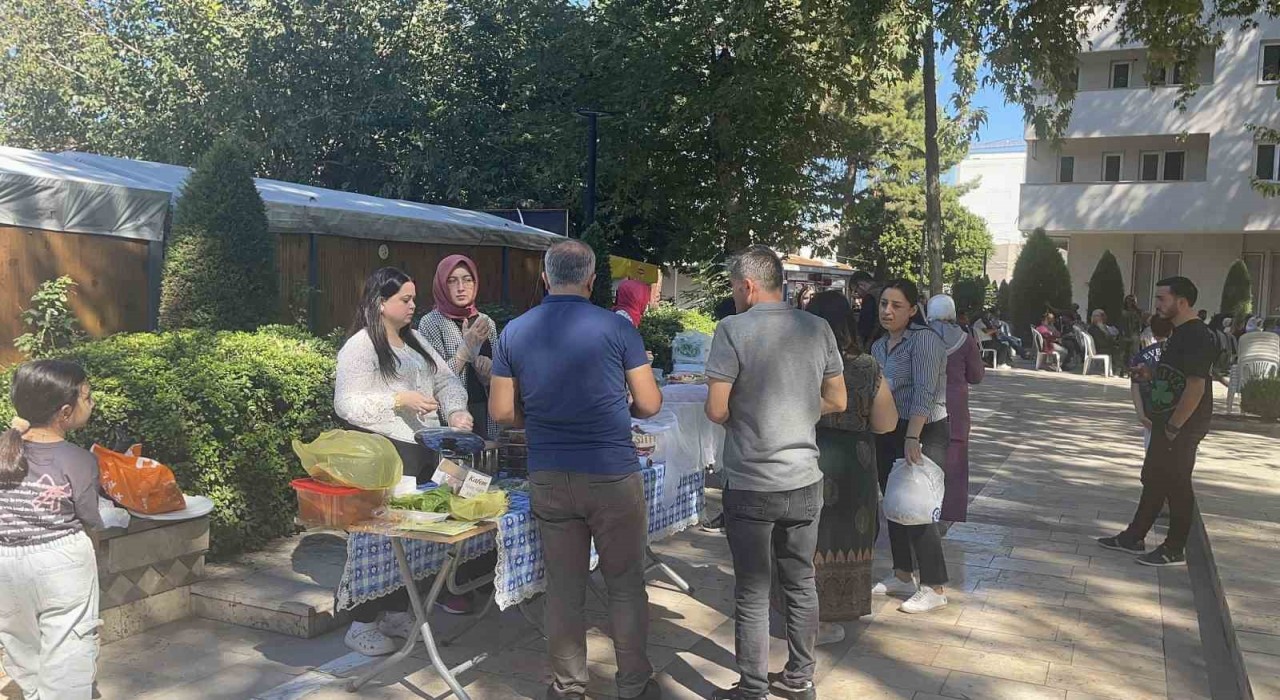 Osmaniye’de Sanat Günleri Renkli Görüntülerle Sürdü