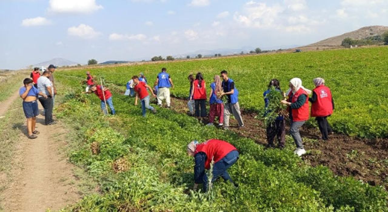 Osmaniye’de Gençlerden Çiftçilere Gönüllü Destek