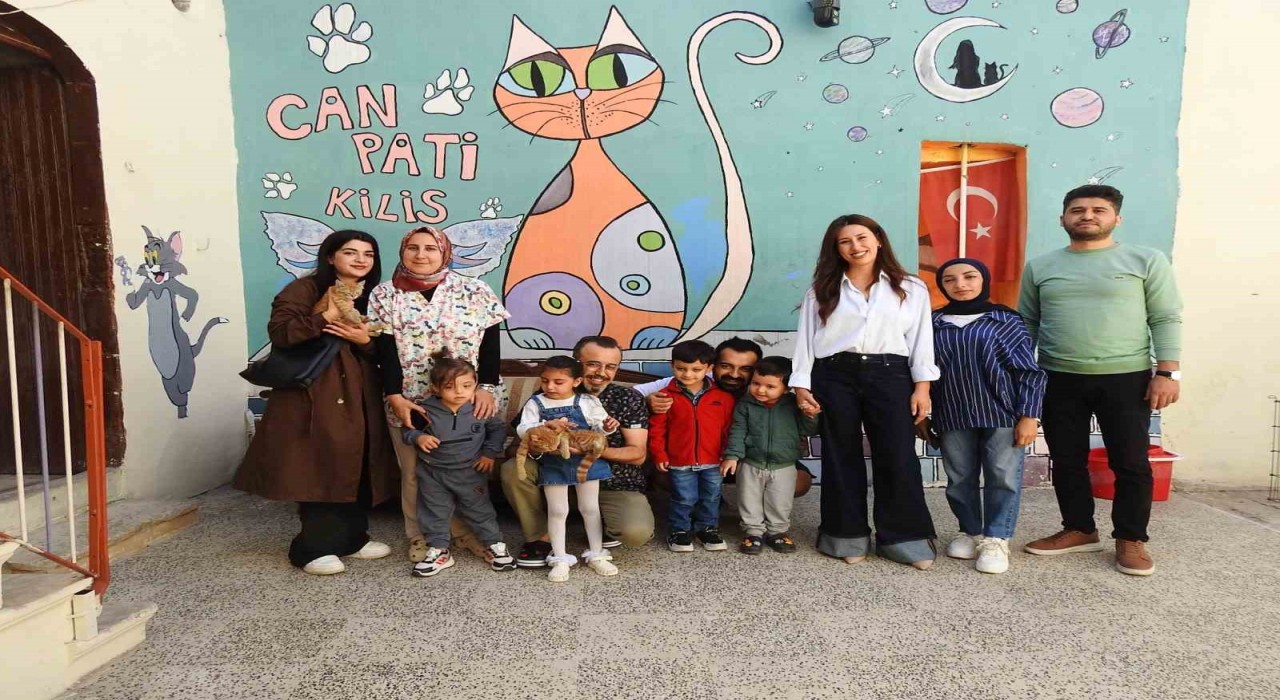 Otizmli çocuklar kedi evinde hayvan sevgisini öğrendi