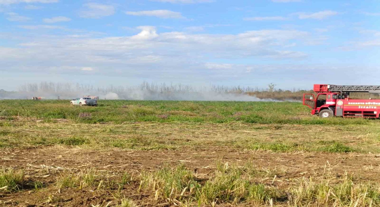 Otluk alanda çıkan yangın söndürüldü