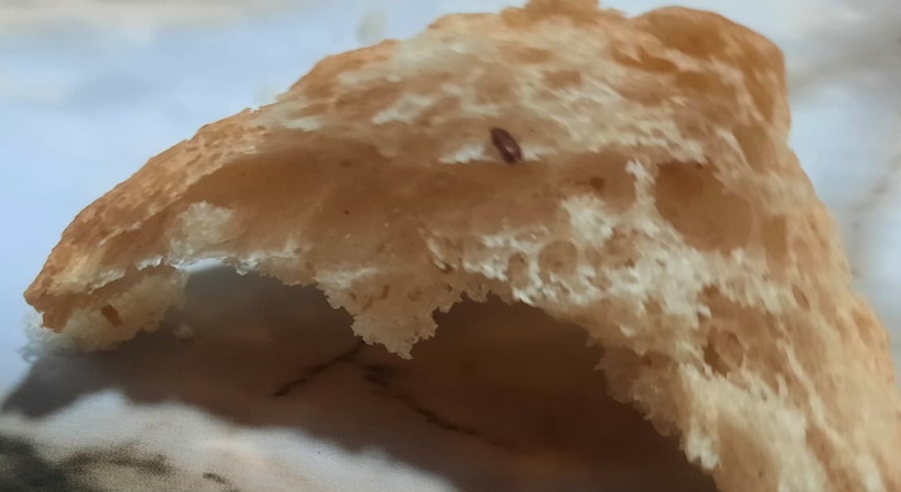 Pamukkale Halk Ekmekin içerisinden çıkan fare dışkısı ve un kurdu yeni doğum yapan anneyi sütten kesti