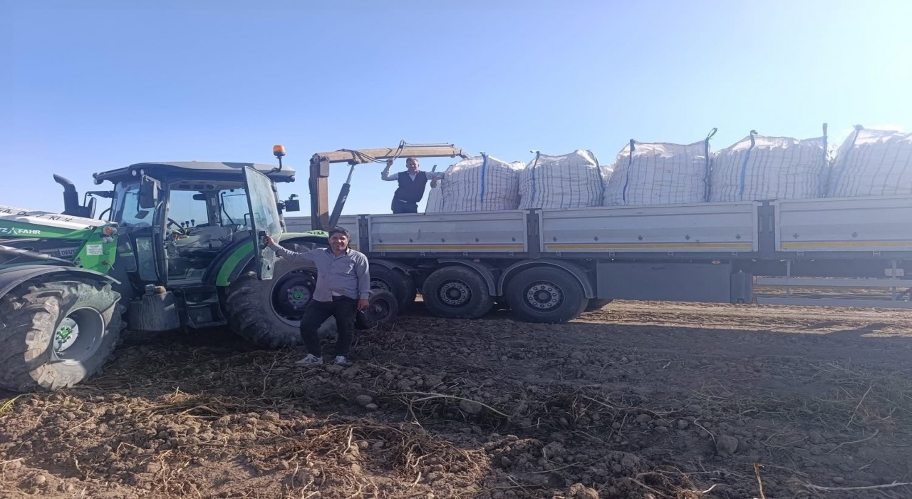 Patnosta patates hasadı başladı