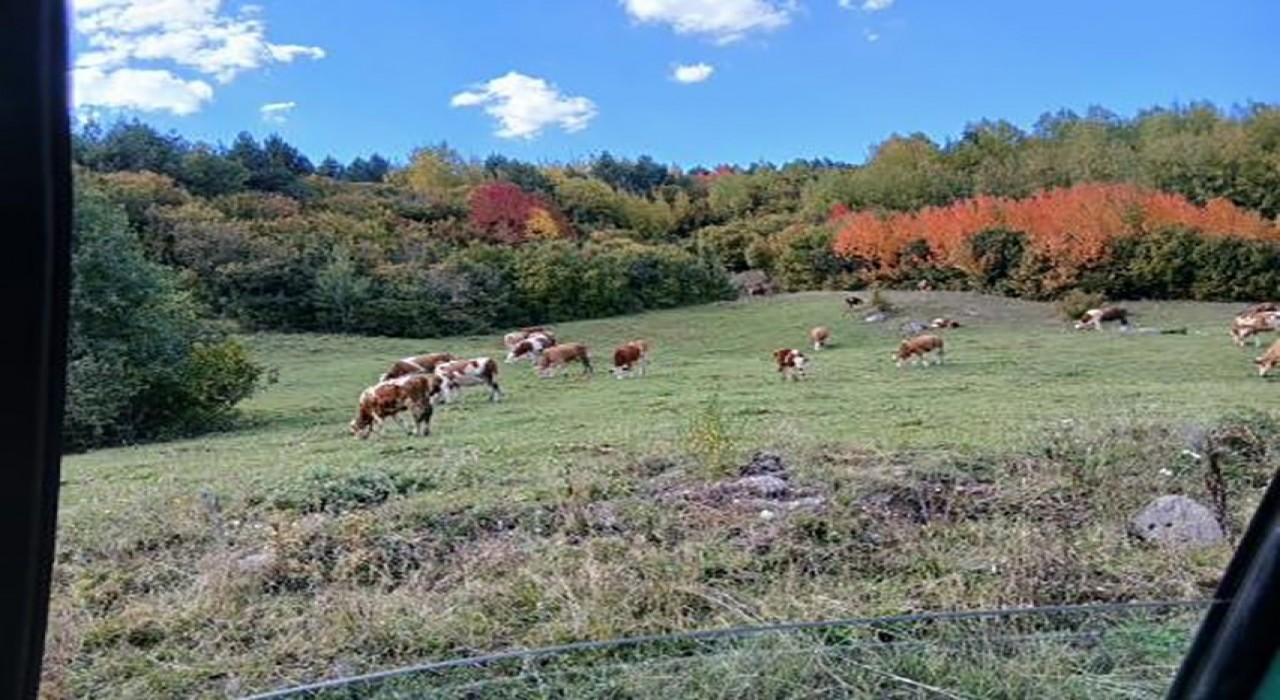 Posofta sonbahar güzelliği