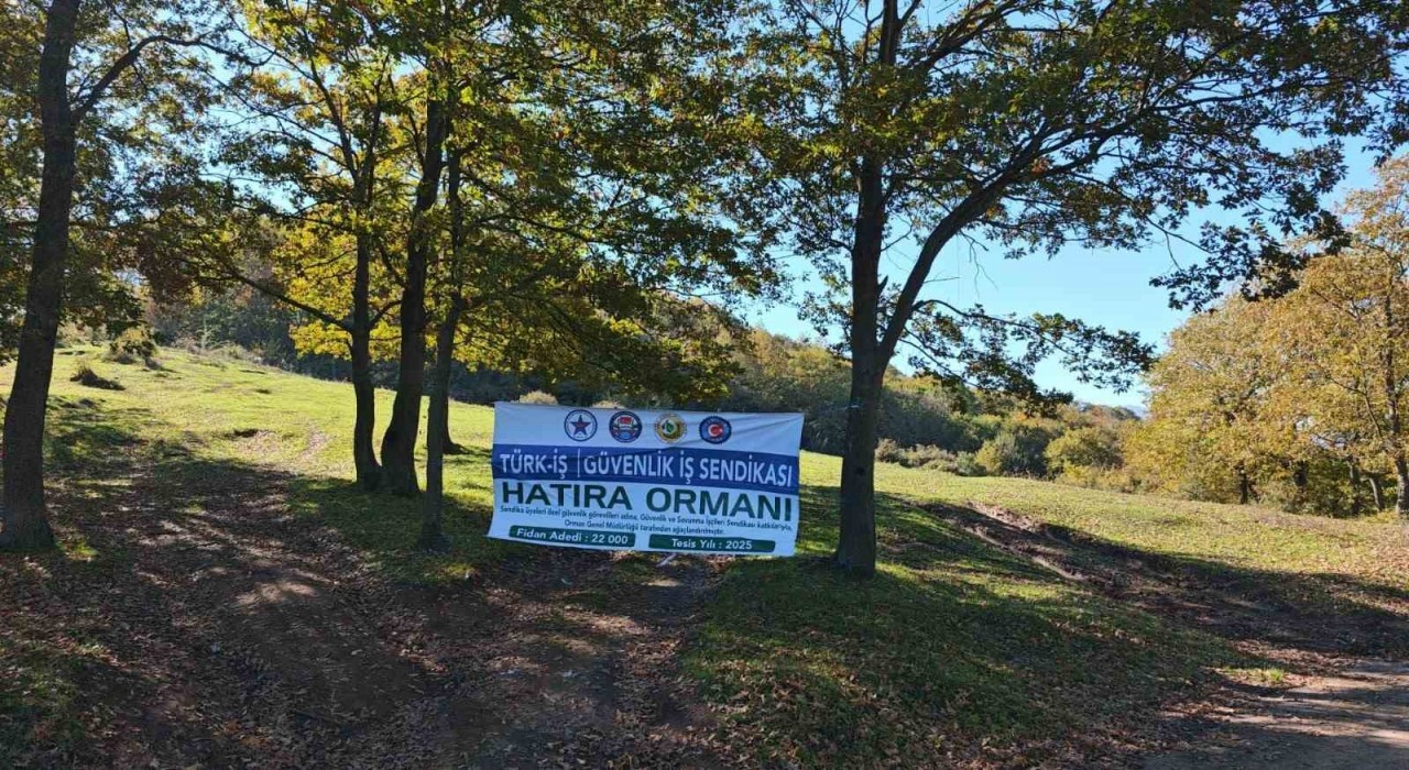 Sakaryada yeşil geleceğe katkı: 22 bin fidan toprakla buluştu