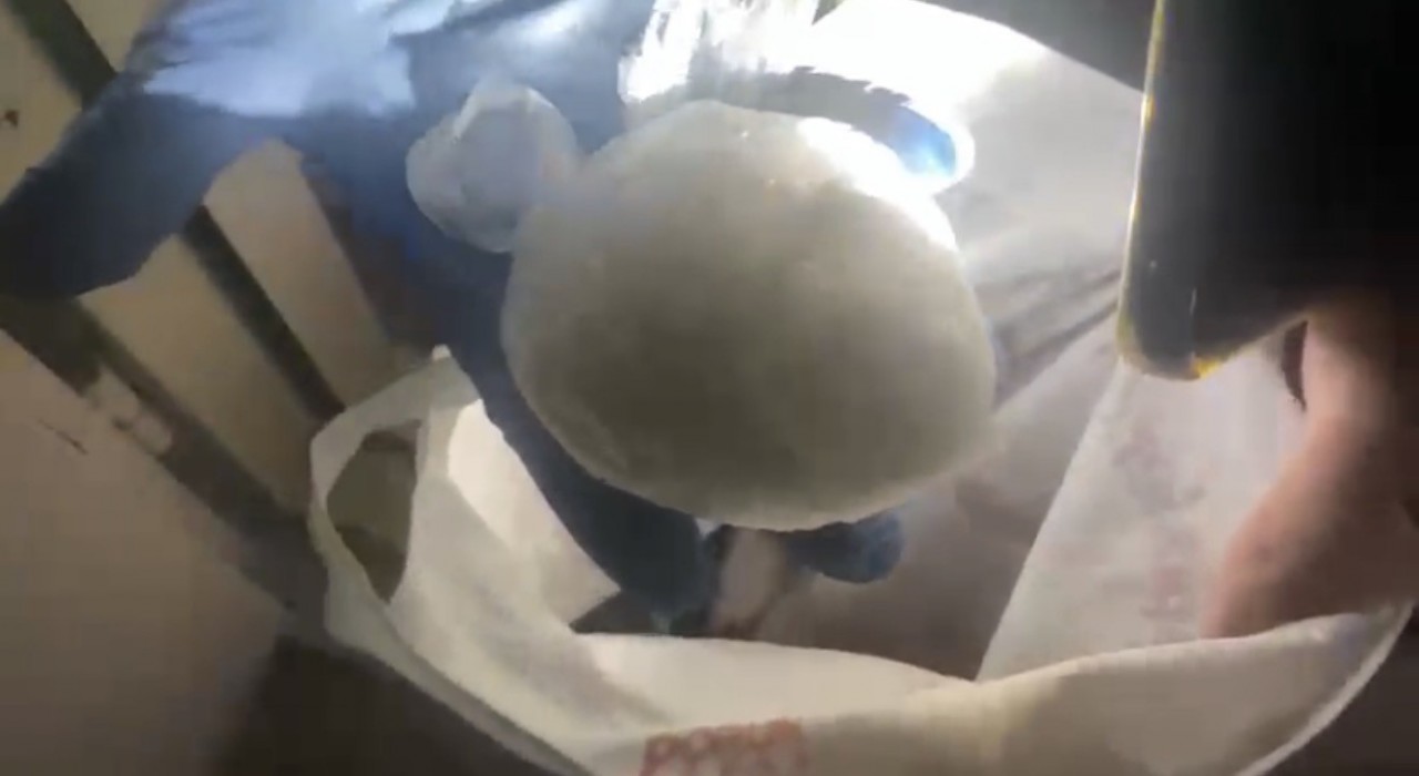 Samsunda 183,8 gram uyuşturucu ele geçirildi