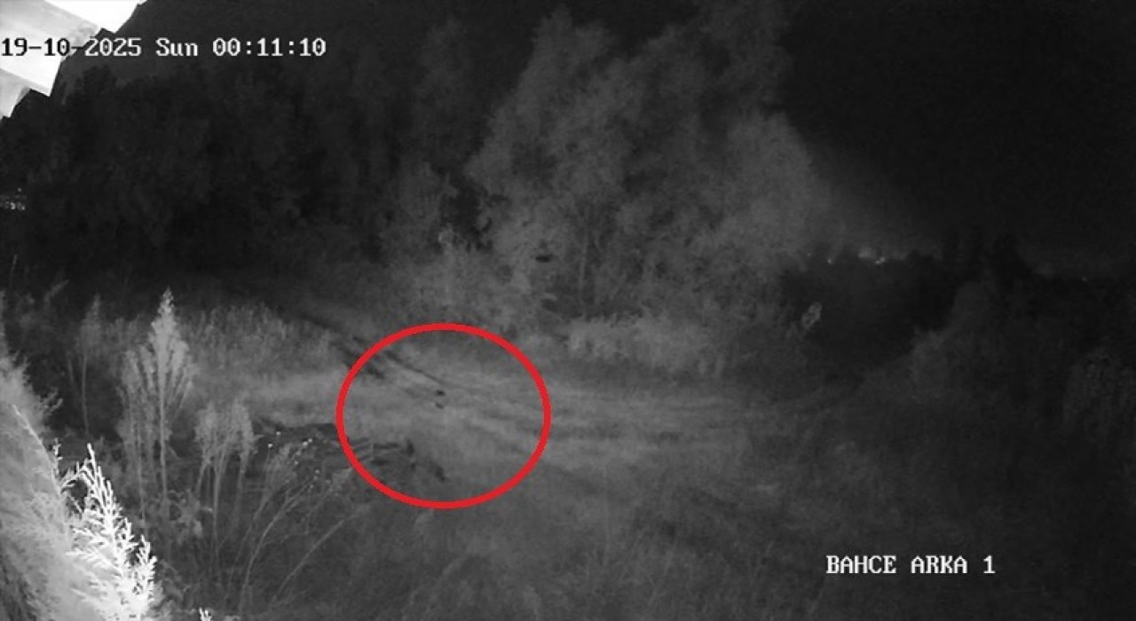 Samsunda 2 haftadır kayıp olan genç ilçede paniğe yol açtı: Vatandaşlar tedirgin