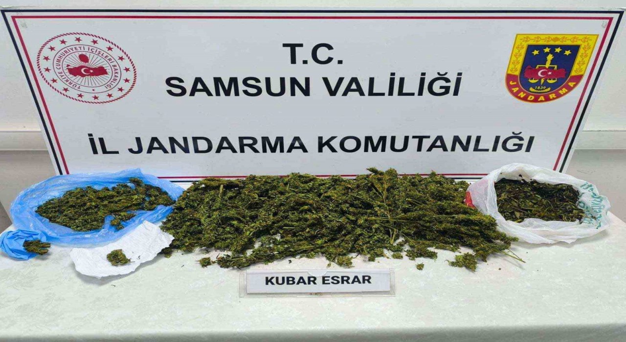 Samsunda jandarmadan uyuşturucu operasyonu: 1 gözaltı