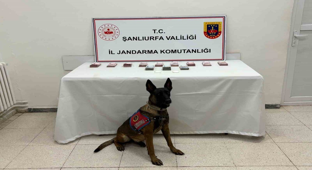 Şanlıurfada 210 bin TL ile uyuşturucu madde ele geçirildi