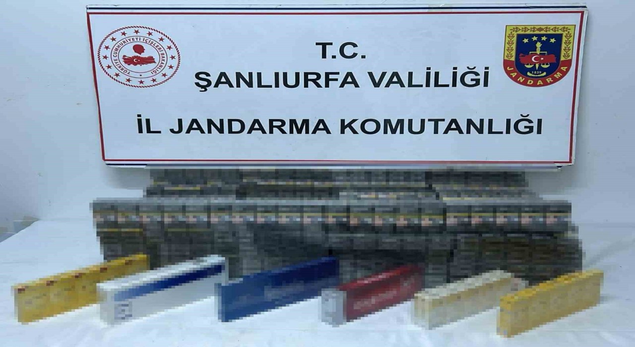 Şanlıurfada bin 960 paket kaçak sigara ele geçirildi
