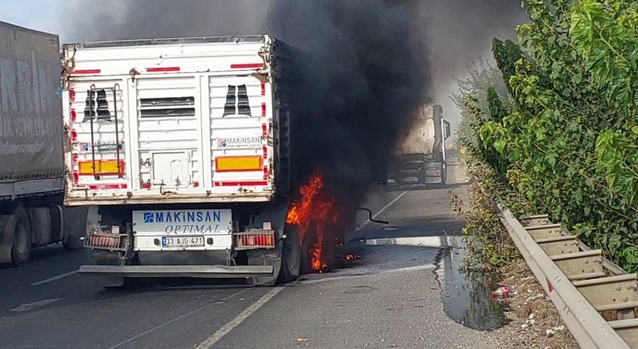 Şanlıurfada seyir halindeki tır alev aldı