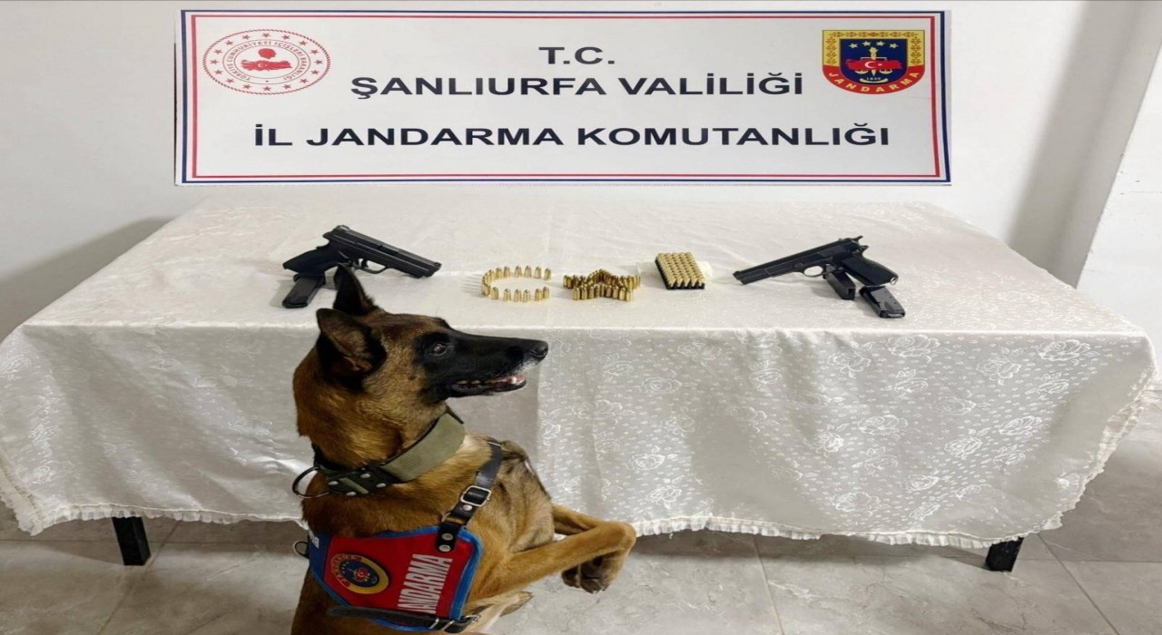 Şanlıurfada silah kaçakçılığı operasyonu: 8 gözaltı