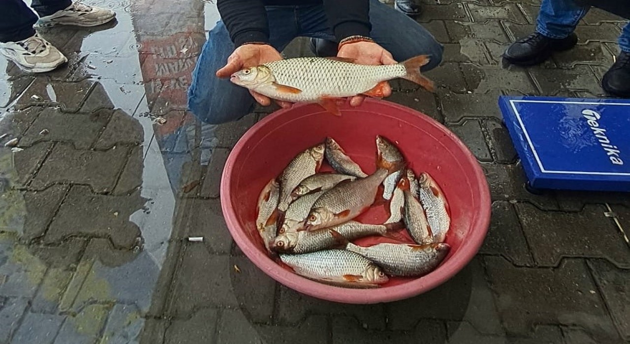 Sapanca Gölünde kızılkanat heyecanı: Amatör balıkçılar kıyasıya yarıştı