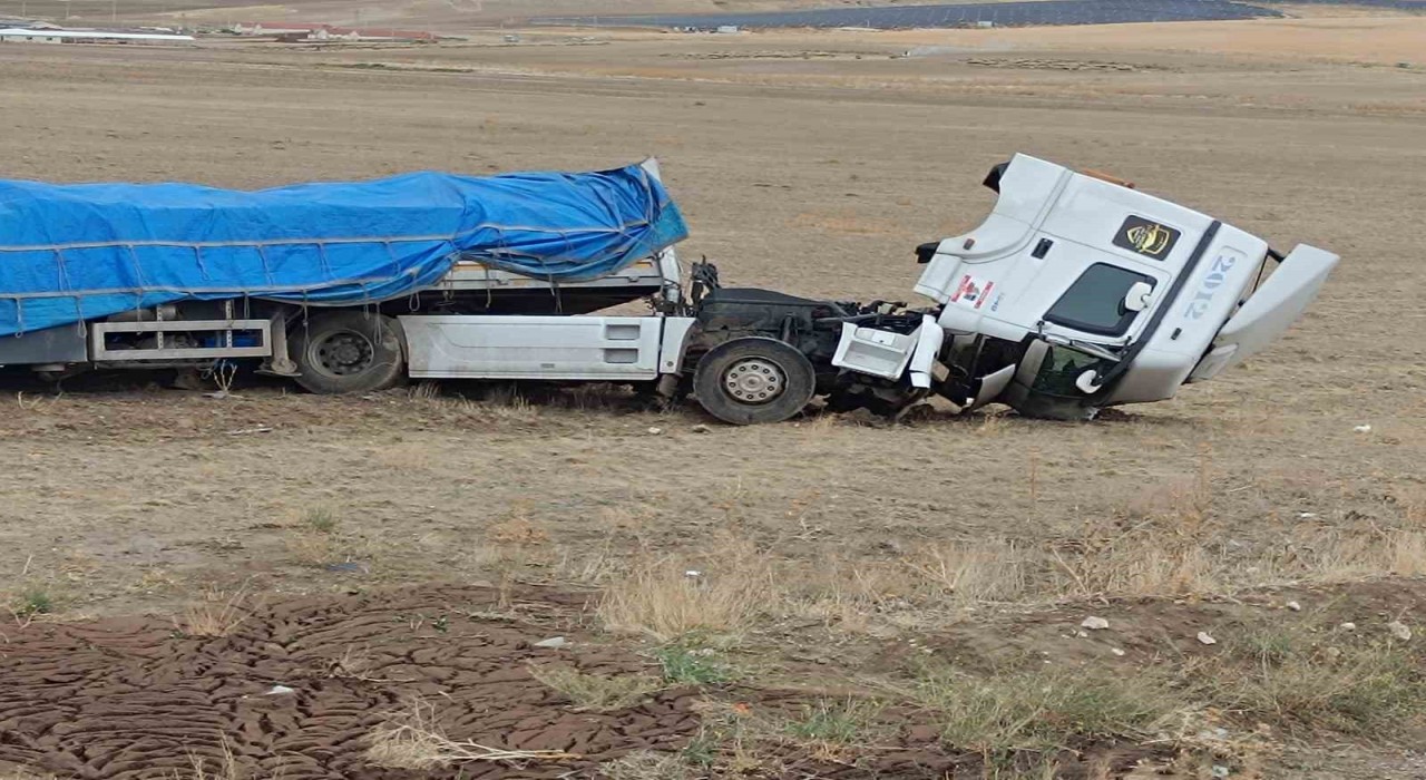 Şarampole yuvarlandı, burnu bile kanamadan kurtuldu