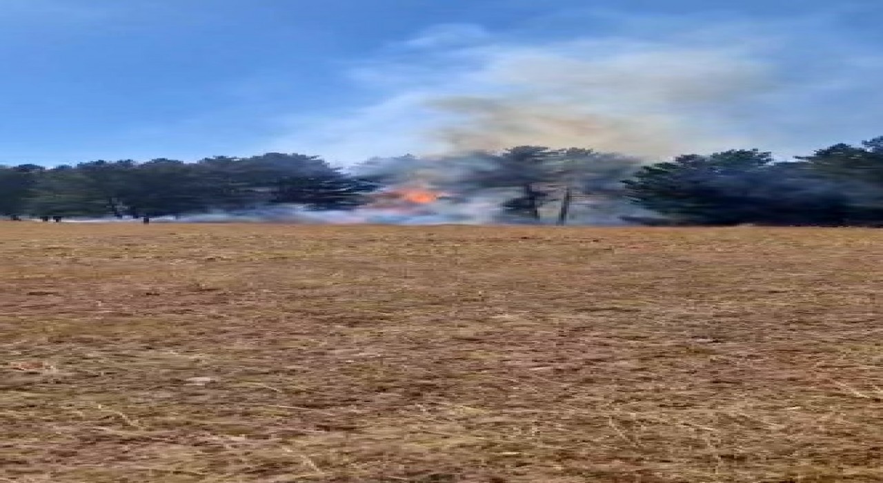 Sarıkamış ormanlarında örtü yangını