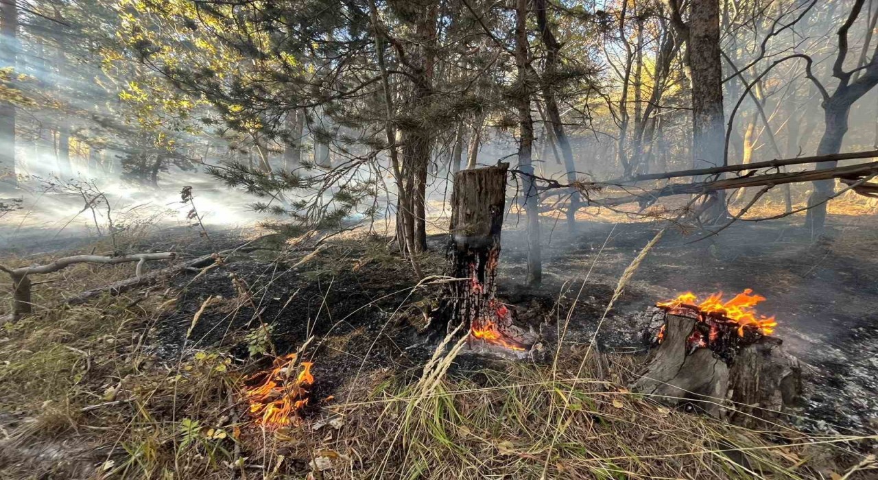 Sarıkamışta orman yangını: 2 hektar alan zarar gördü