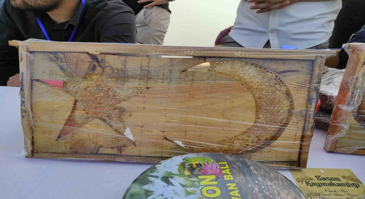 Sasonda ay yıldızlı arı kovanları yoğun ilgi görüyor