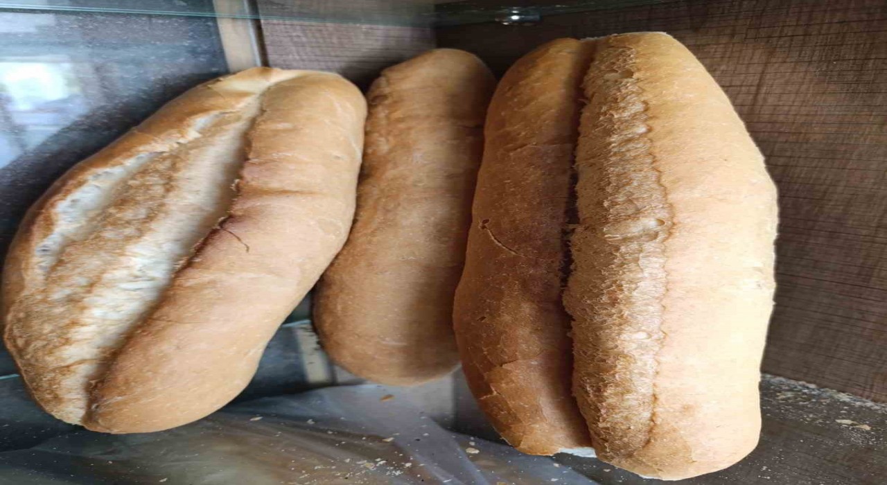 Selendide ekmeğe zam