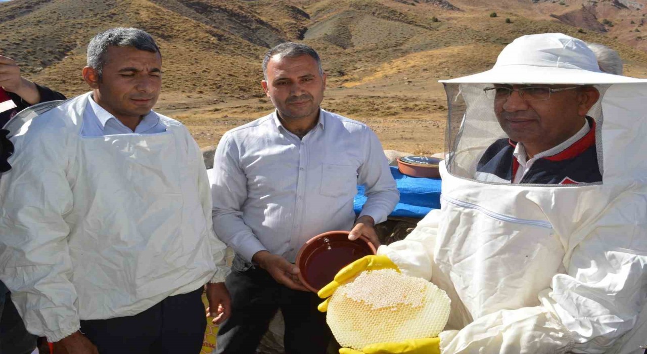 Siirt İl Tarım Müdürü Şanverdi: Terörsüz Türkiye kapsamında dağlarımızda açacağımız yollar, bal üretimine büyük katkı sağlayacak