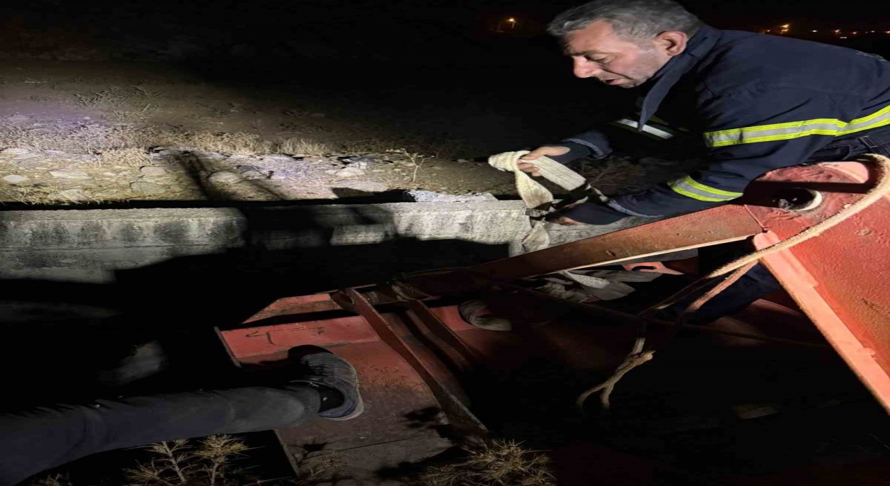 Siirtte kanala düşen inek kurtarıldı