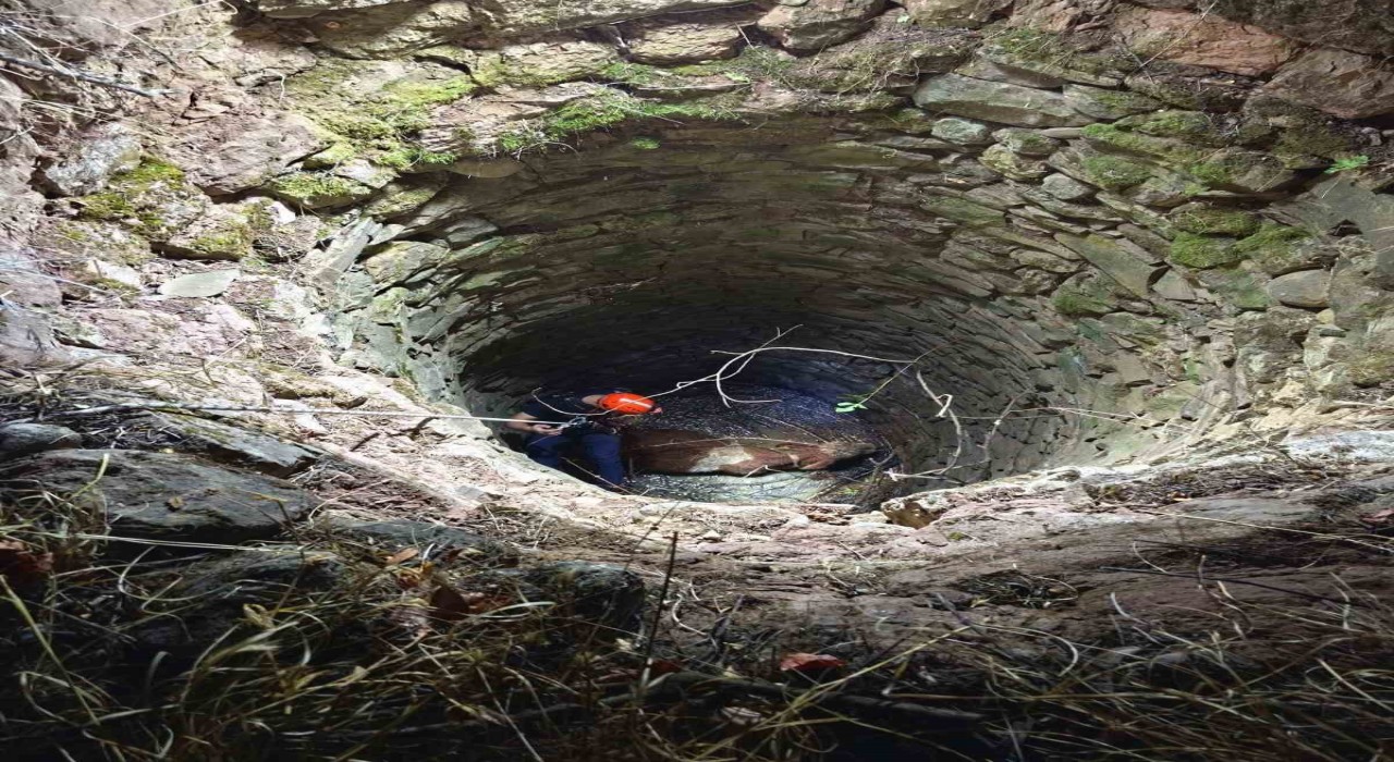 Siirtte su kuyusuna düşen ineği ekipler kurtardı