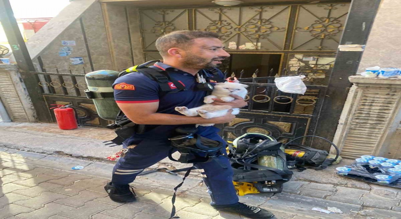 Siirtte yangında mahsur kalan kediyi itfaiye ekipleri kurtardı