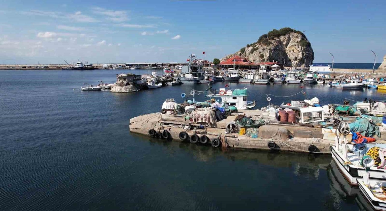 Şilede bu yıl palamut avı beklenenin çok altında kaldı