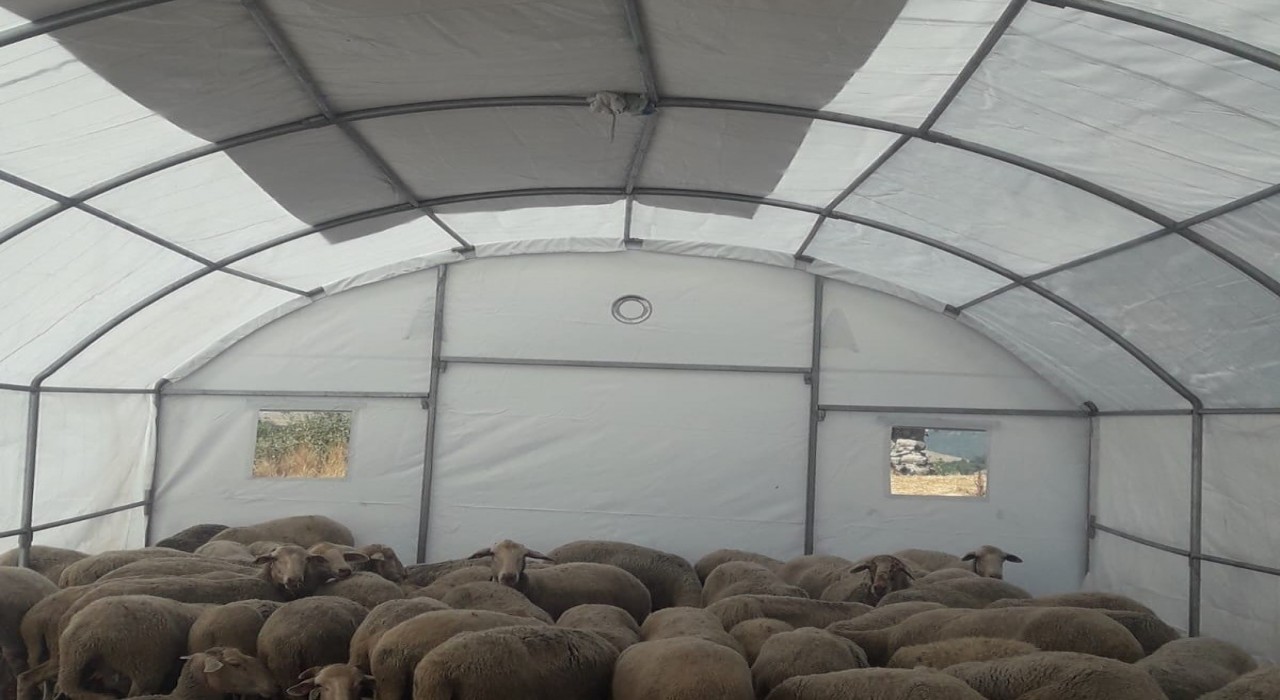 Sındırgıda depremden etkilenen üreticilere geçici hayvan barınma çadırı desteği
