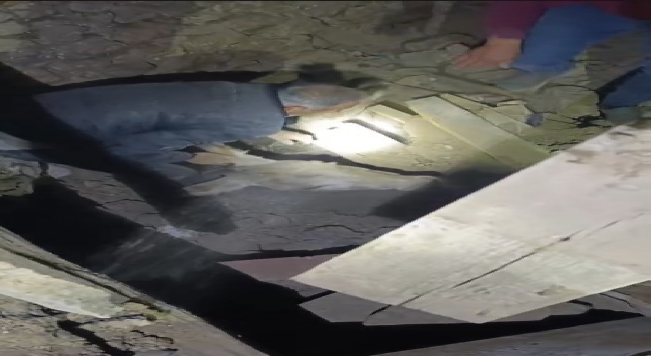 Sındırgıda enkaz altında kalan eşek canlı kurtarıldı