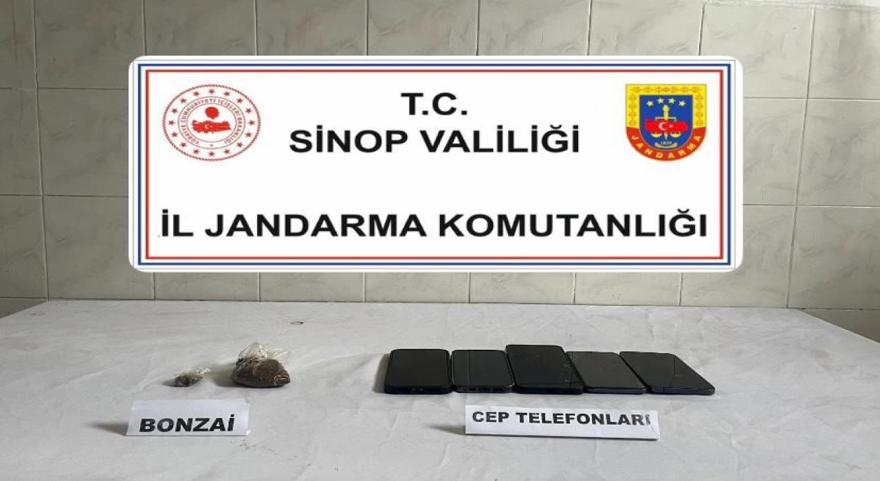 Sinopta bonzai ele geçirildi: 1 kişi tutuklandı