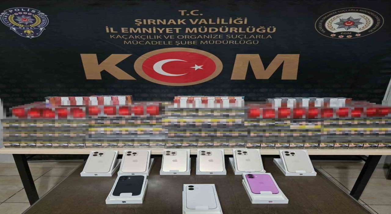 Şırnakta kaçakçılık operasyonu: 1 gözaltı