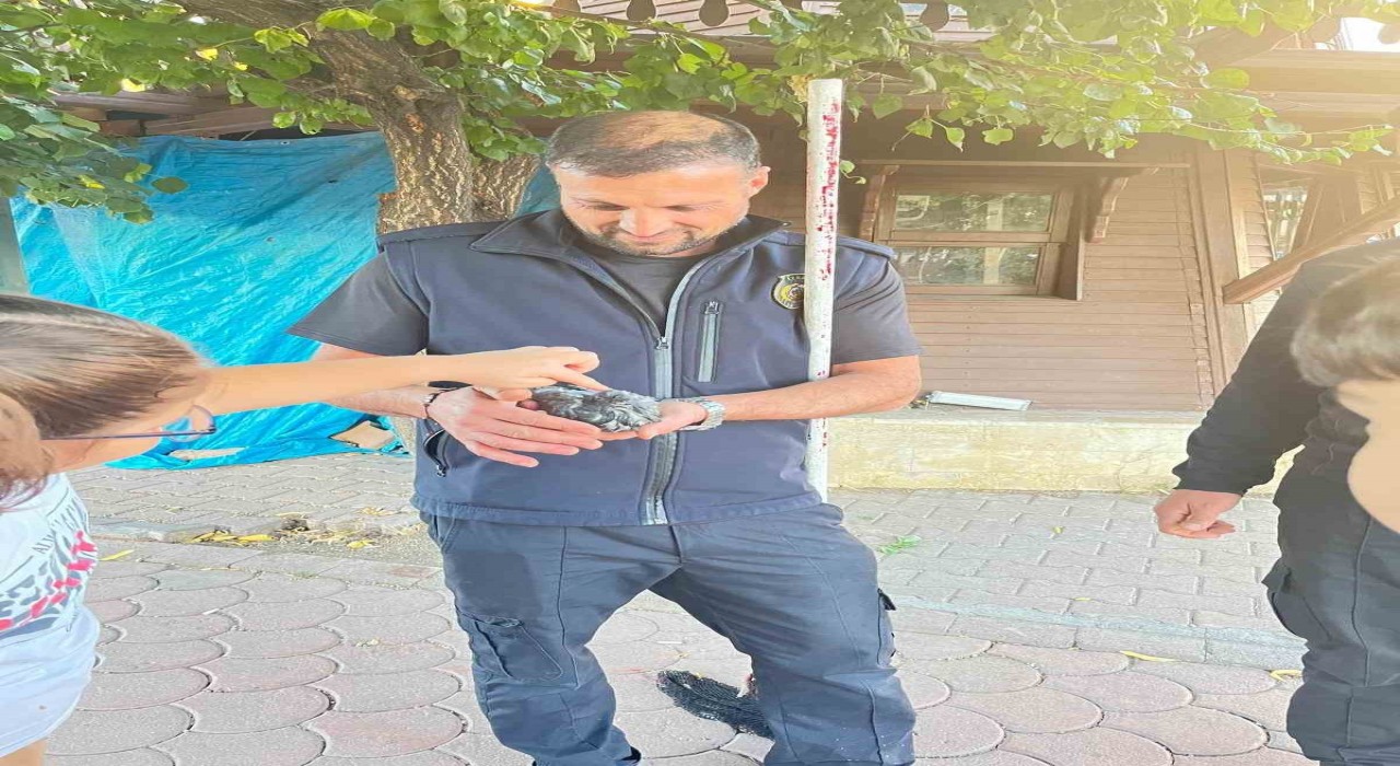 Sivasta boruya sıkışan kuşu itfaiye kurtardı