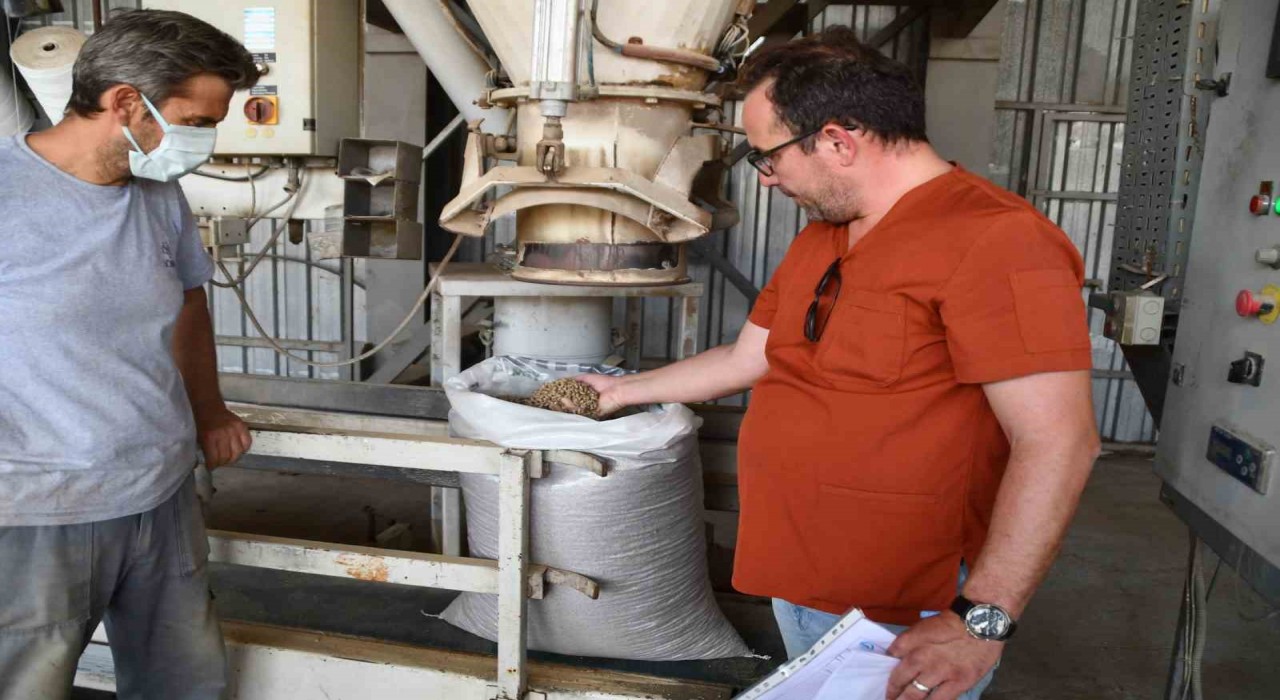 Söke Belediyesinden sokak hayvanları için örnek çalışma