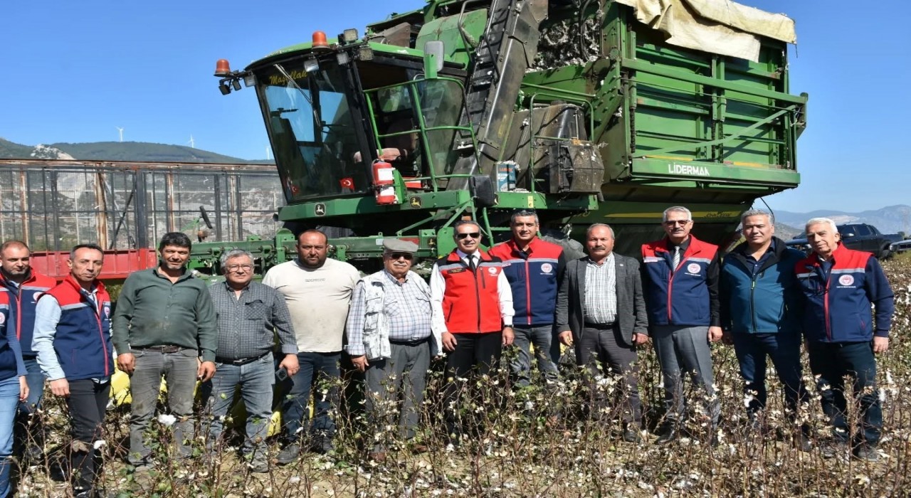 Söke Ovasında pamuk hasadı sürüyor