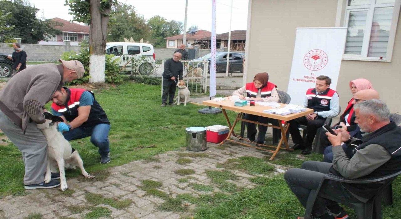 Son tarih 31 Aralık 2025