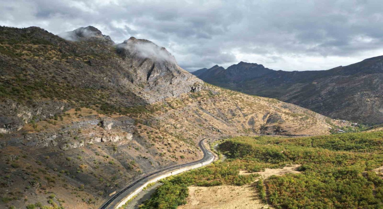 Sonbaharda meşe ormanları kartpostallık görüntüler oluşturdu