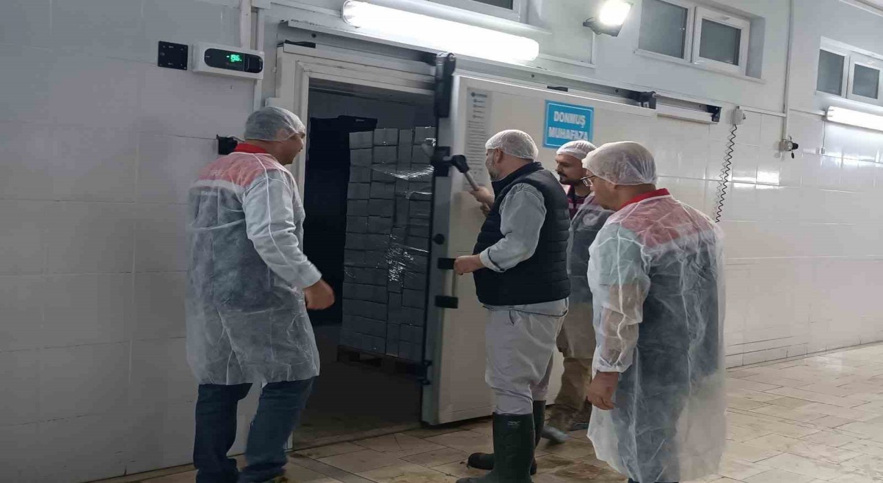 Su ürünleri tesislerinde güvenlik ve kalite denetimi