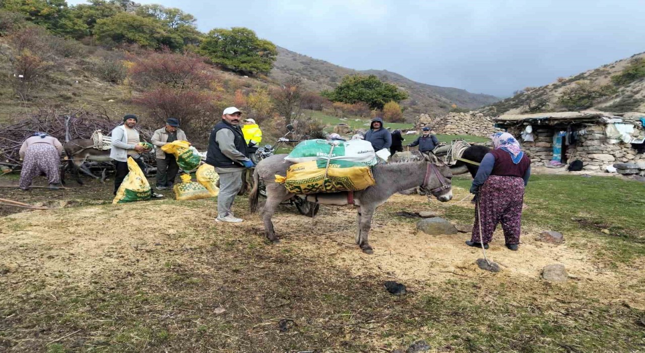 Şuhutta kestane hasadı başladı