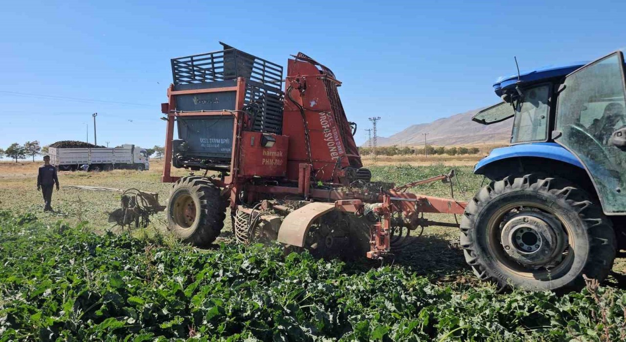 Tarımın kalbi Adilcevazda pancar sökümüne başlandı