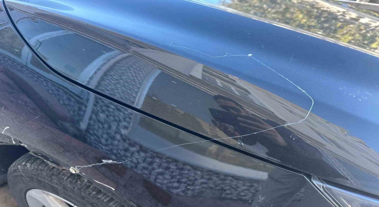 Tekirdağda gökyüzünden örümcek ağı yağdı